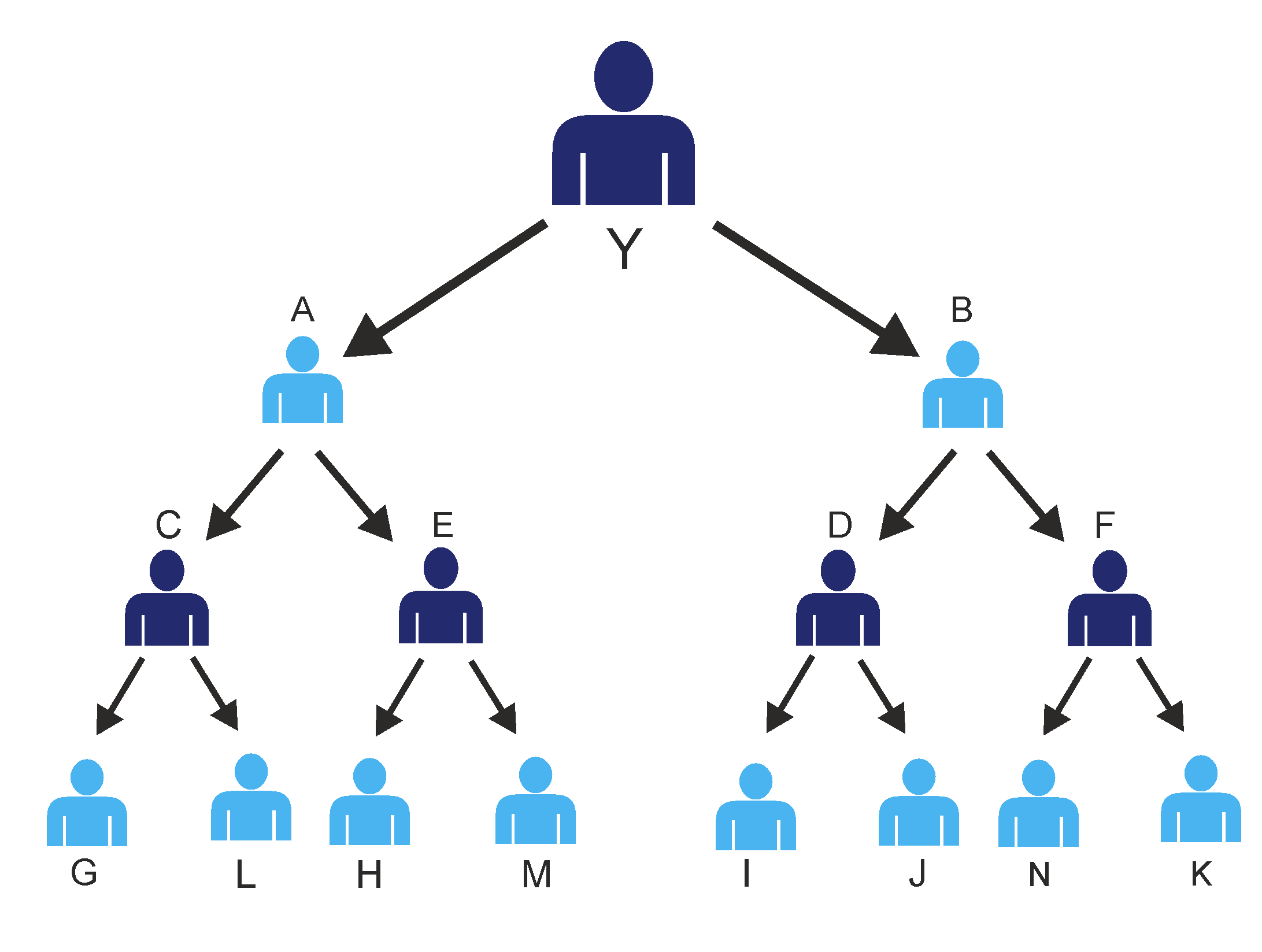 binary mlm plan Products